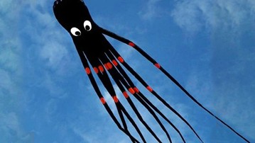 24-Foot 3D Octopus Kite 24-Foot 3D Octopus Kite