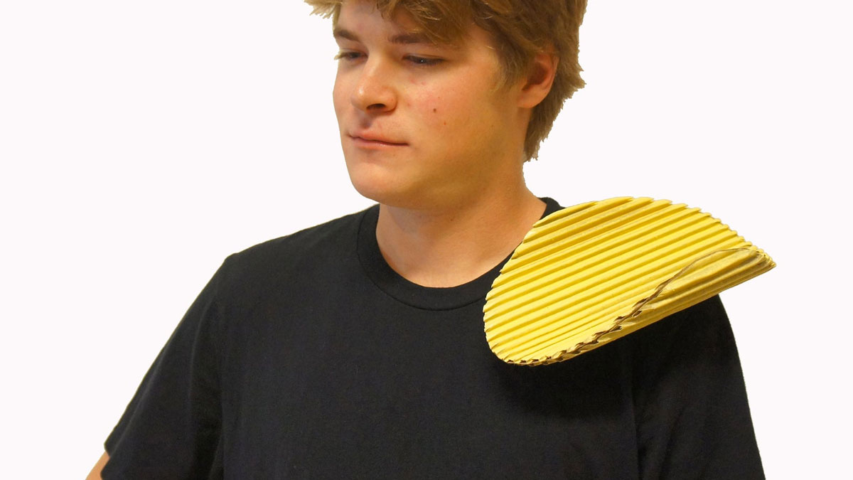 Chip on Your Shoulder Costume Chip on Your Shoulder Costume