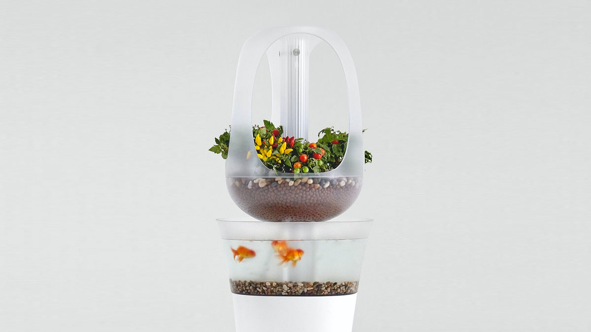 EVA Smart Aquaponics Furniture EVA Smart Aquaponics Furniture