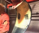 Life Size King Cobra Snake Statue