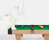 Meownooker Cat Billiards Toy