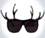 Antler Sunglasses