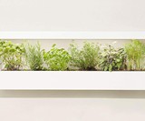 Modern Sprout Growframes - Wall-Mounted Grow Lights