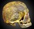 Real Human Skull Art Real Human Skull Art