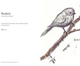 The Field Guide to Dumb Birds of North America