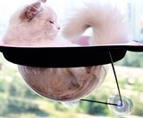 Window-Mounted Suction Cup Cat Saucer