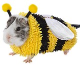 Guinea Pig Halloween Costumes