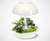 Ambienta Living Table Lamp Ambienta Living Table Lamp