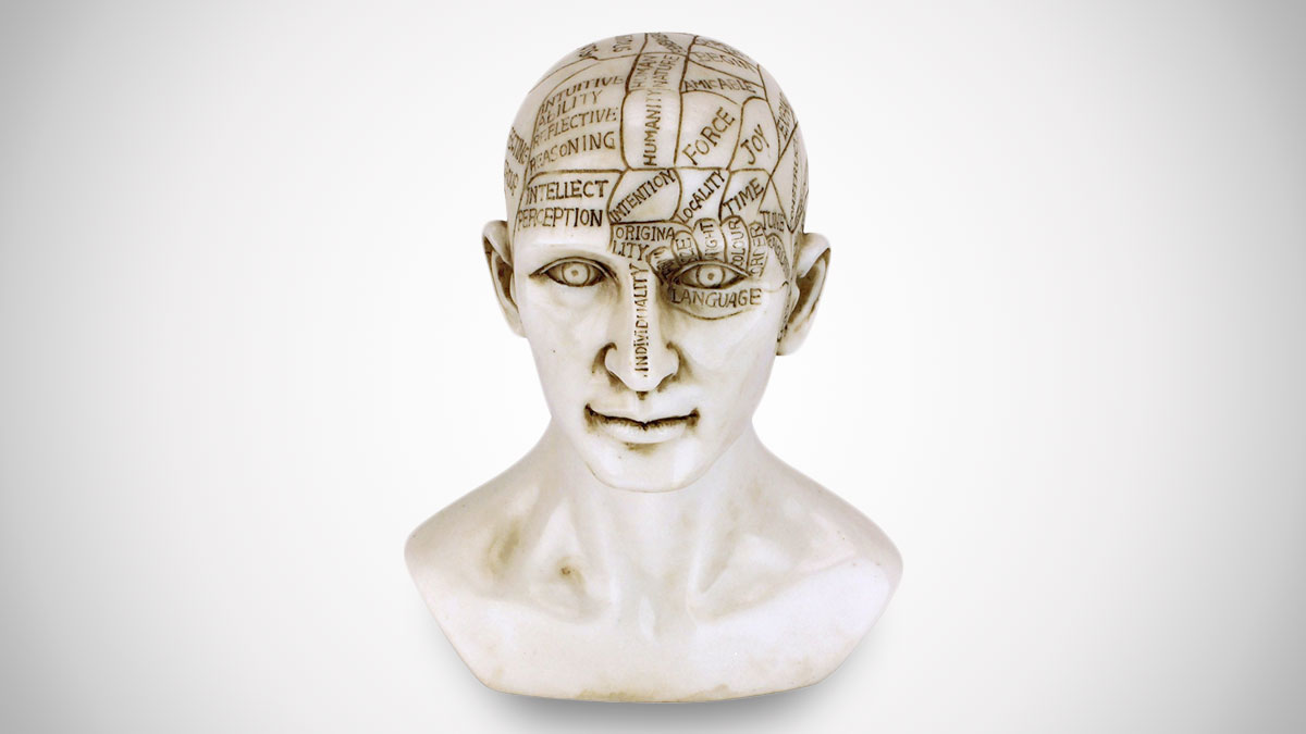 Phrenology Bust Phrenology Bust
