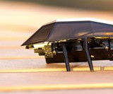 iPhone-Controlled Insects