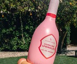 Sparkling Sprinkles Champagne-Shaped Sprinkler