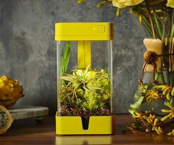 OrchidBox Smart Mini Terrarium