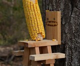 Picnic Table Squirrel Feeder