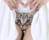 Show Me Your Kitty Panties