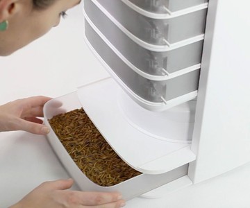 LIVIN Farms Edible Insect Hive LIVIN Farms Edible Insect Hive