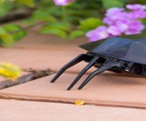 iPhone-Controlled Insects