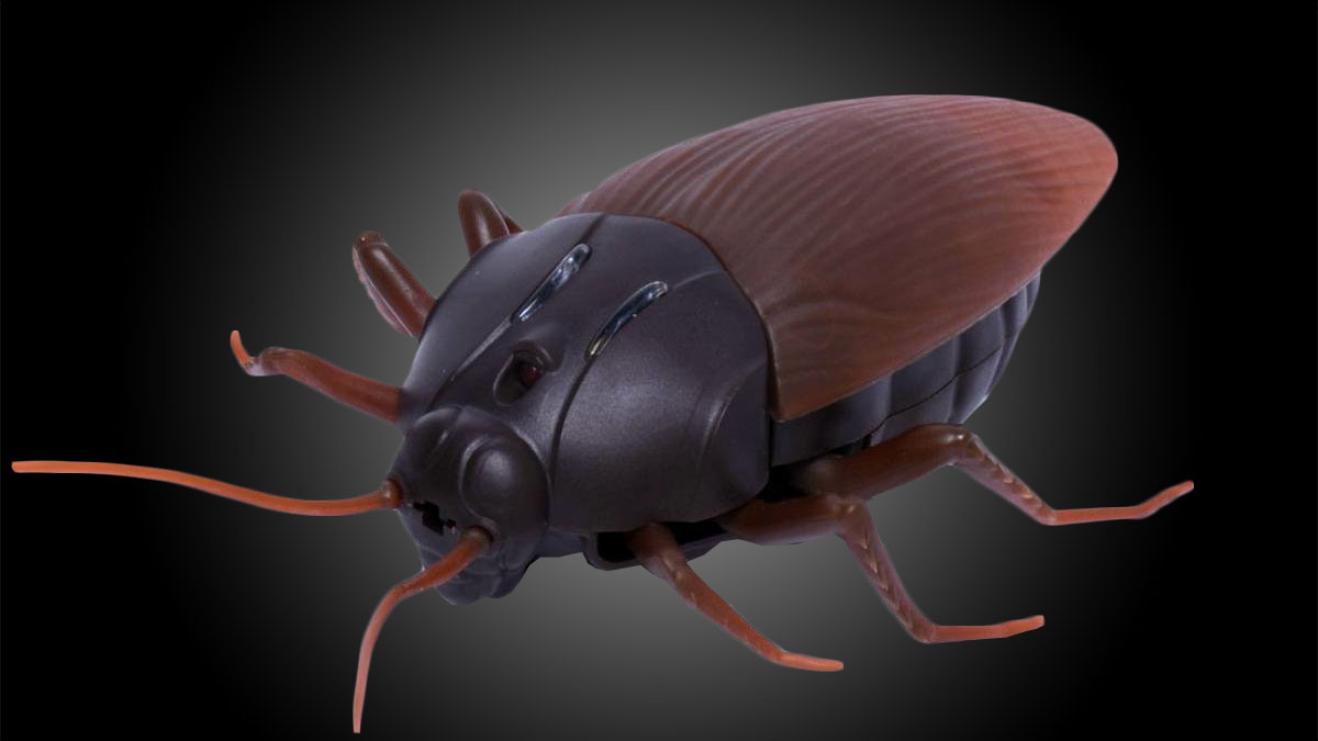 Remote Control Cockroach Remote Control Cockroach