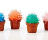 Magicactus Kit - Miniature Crystal Cactus Growing Set