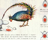 Codex Seraphinianus: World's Strangest Book