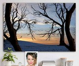 Small Business Shoutout: Meaningful Moments Portraits
