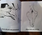 The Big Coloring Book of Vaginas