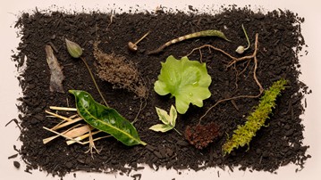Recompose Human Body Composting Service Recompose Human Body Composting Service