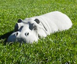 Hippopotamus Lawn Ornament