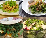 Grow 'n' Serve Microgreen Kits