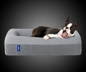 Casper Dog Mattress Casper Dog Mattress