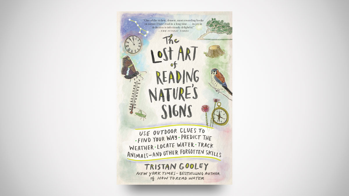 The Lost Art of Reading Nature's Signs The Lost Art of Reading Nature's Signs