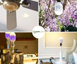 Zapplight Bulb & Bug Zapper