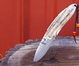 Stag Folding Knife