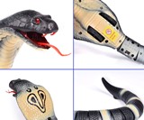 Remote Control Hissing Cobra