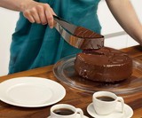 Magisso Perfect Slice Cake Server