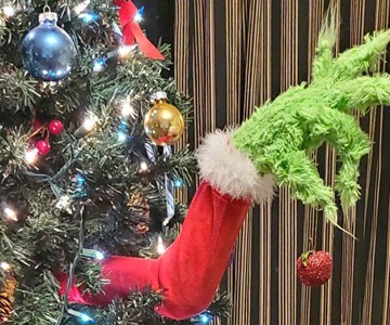 Grinch Christmas Tree Decoration & Ornament Holder Grinch Christmas Tree Decoration & Ornament Holder