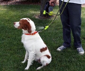 Hyper Pet Cool Down Misting Leash Hyper Pet Cool Down Misting Leash
