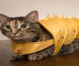 3D Printed Cat Armor