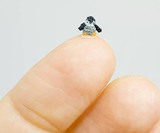 Micro Crochet Animals