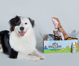 BoxDog Custom Dog Subscription Boxes