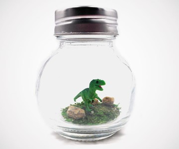 1" Pet T-Rex Terrarium with Adoption Certificate 1" Pet T-Rex Terrarium with Adoption Certificate