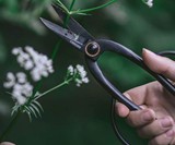 Barebones Artisan Pruning Shears