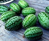 Mouse Melon Seeds