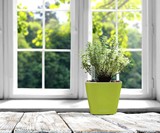 Aquaphoric Self-Watering Planter