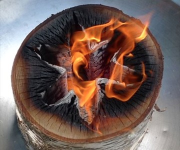 Light 'n Go Bonfire Log Light 'n Go Bonfire Log