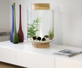 Norrom Freshwater Aquarium