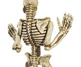 Ascending Evil Climbing Skeleton Wall Sculpture