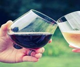 Aura Glass Non-Spill Drinking Glasses