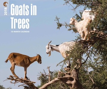Goats in Trees 2018 Calendar Goats in Trees 2018 Calendar