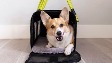 ROVERLUND Airline Compliant Pet Carrier & Car Seat ROVERLUND Airline Compliant Pet Carrier & Car Seat
