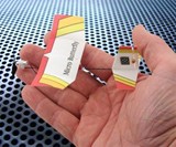 Micro Butterfly RC Plane